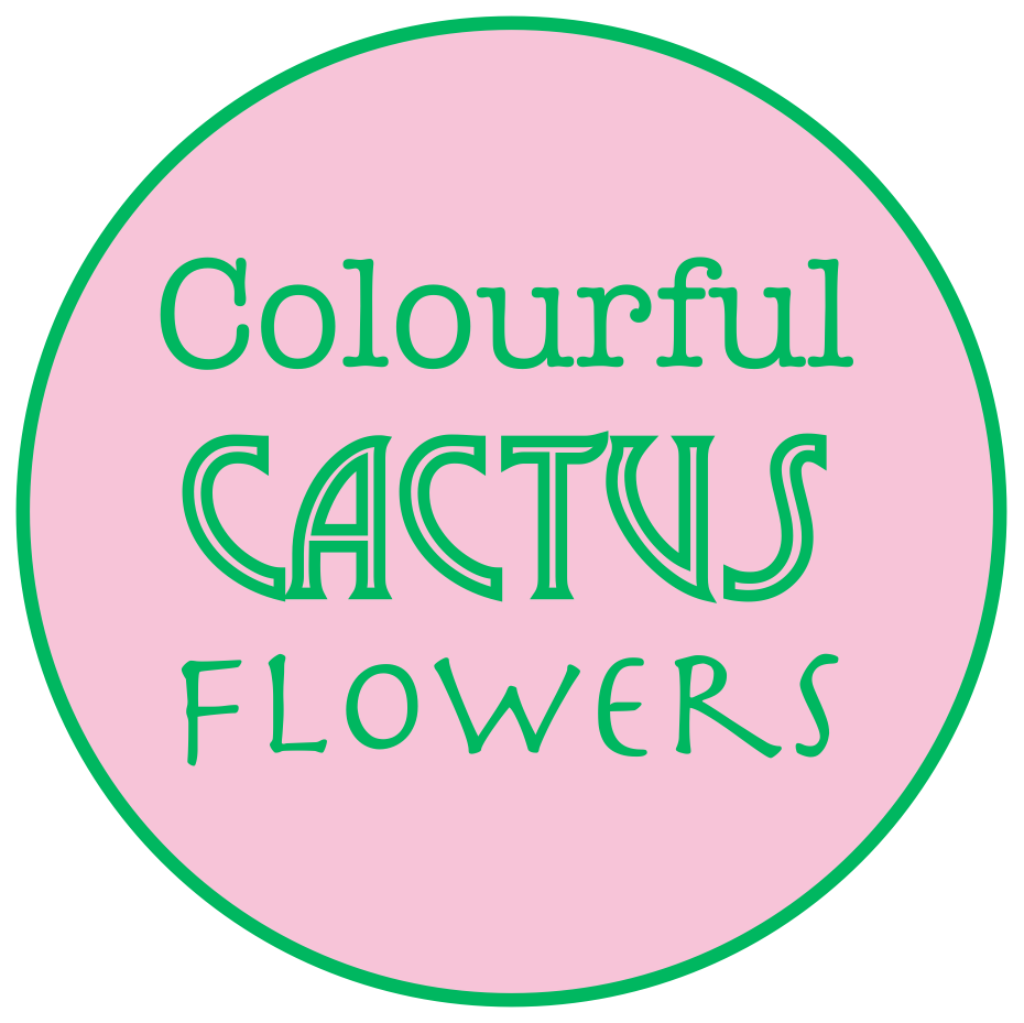 About Colourful Cactus Flowers